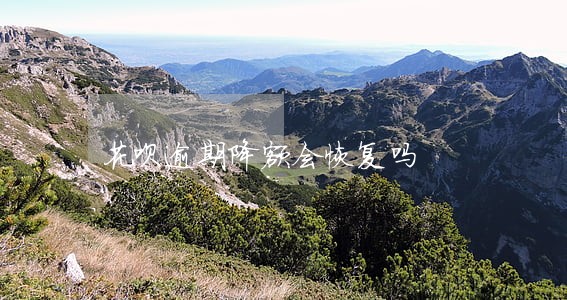 花呗逾期降额会恢复吗 花呗逾期降额会恢复吗