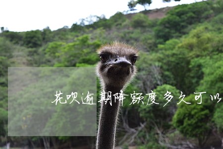 花呗逾期降额度多久可以恢复 花呗逾期降额度多久可以恢复