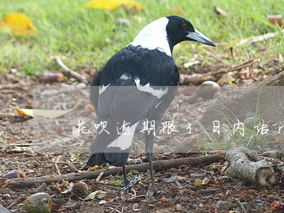 花呗逾期限3日内结清 花呗逾期限3日内结清