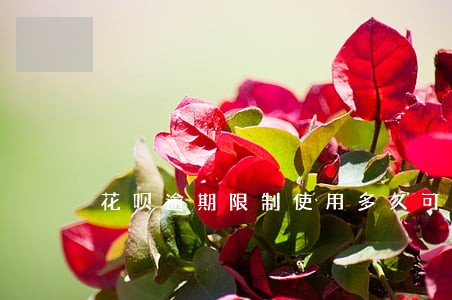 花呗逾期限制使用多久可以恢复 花呗逾期限制使用多久可以恢复