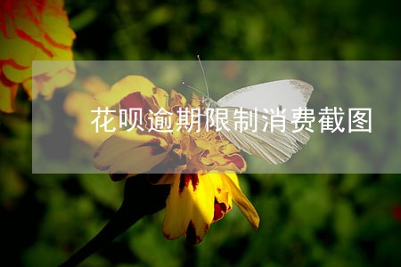 花呗逾期限制消费截图 花呗逾期限制消费截图