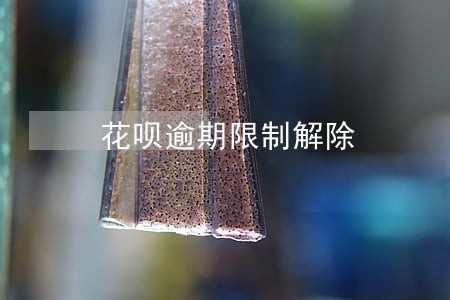 花呗逾期限制解除 花呗逾期限制解除