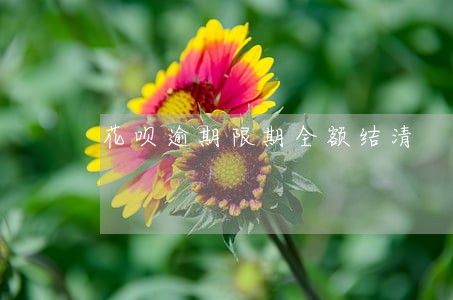 花呗逾期限期全额结清 花呗逾期限期全额结清