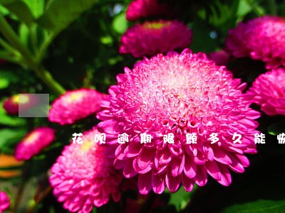 花呗逾期限额多久能恢复 花呗逾期限额多久能恢复