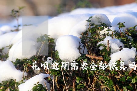 花呗逾期需要全部恢复吗 花呗逾期需要全部恢复吗