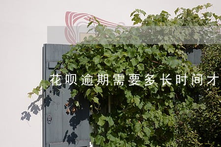 花呗逾期需要多长时间才能恢复 花呗逾期需要多长时间才能恢复