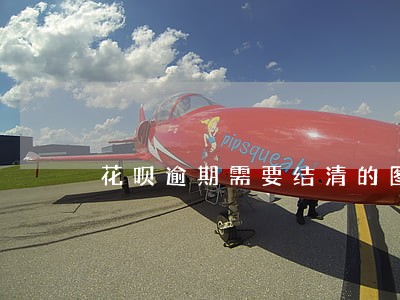 花呗逾期需要结清的图 花呗逾期需要结清的图
