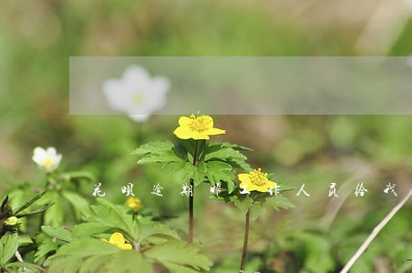 花呗逾期非工作人员给我打电话 花呗逾期非工作人员给我打电话