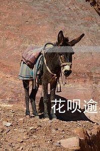 花呗逾期非常严重会上征信吗