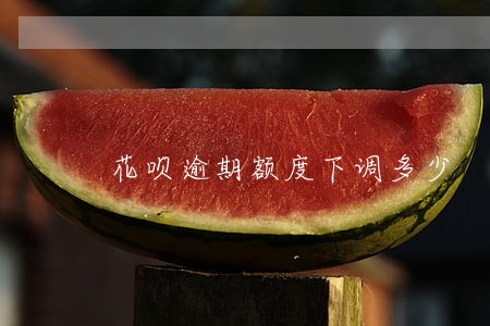 花呗逾期额度下调多少 花呗逾期额度下调多少