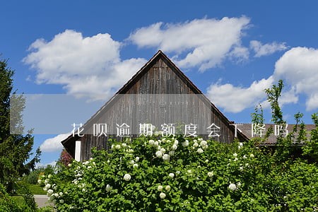 花呗逾期额度会下降吗 花呗逾期额度会下降吗