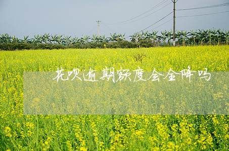 花呗逾期额度会全降吗 花呗逾期额度会全降吗