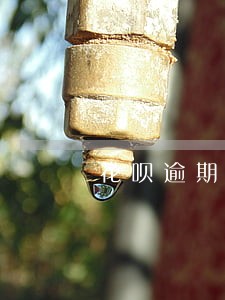 花呗逾期额度就升不了了吗 花呗逾期额度就升不了了吗