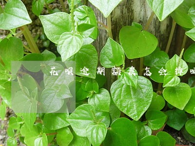 花呗逾期额度怎会掉吗
