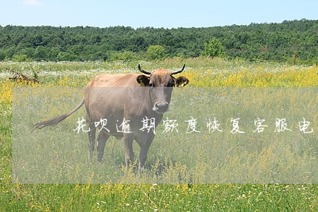 花呗逾期额度恢复客服电话 花呗逾期额度恢复客服电话