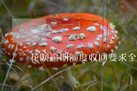 花呗逾期额度收回要求全部还款 花呗逾期额度收回要求全部还款