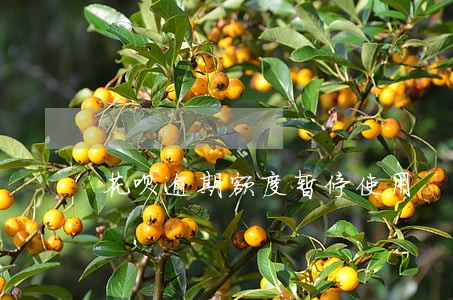 花呗逾期额度暂停使用 花呗逾期额度暂停使用