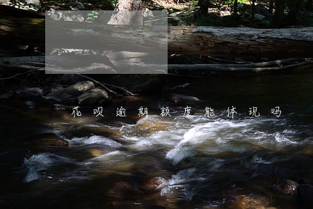 花呗逾期额度能体现吗 花呗逾期额度能体现吗
