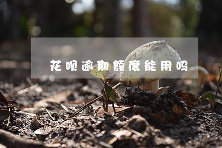 花呗逾期额度能用吗 花呗逾期额度能用吗