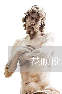 花呗逾期额度被冻