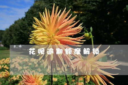 花呗逾期额度解锁 花呗逾期额度解锁