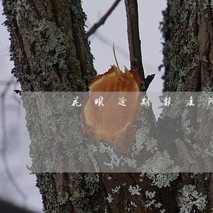 花呗逾期额度降为500 花呗逾期额度降为500