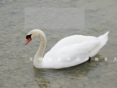 花呗逾期风控一般多久解除 花呗逾期风控一般多久解除