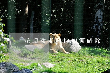 花呗逾期风控如何解除 花呗逾期风控如何解除