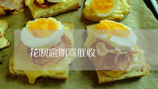 花呗逾期骂催收 花呗逾期骂催收