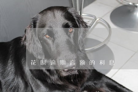 花呗逾期高额的利息 花呗逾期高额的利息