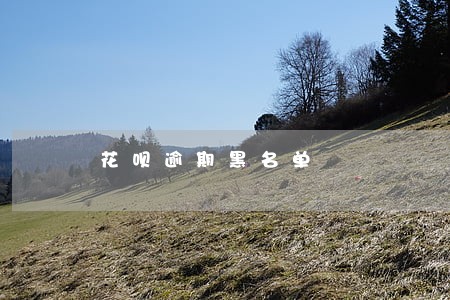 花呗逾期黑名单 花呗逾期黑名单