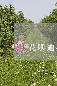 花呗逾期黑名单是怎么样的 花呗逾期黑名单是怎么样的