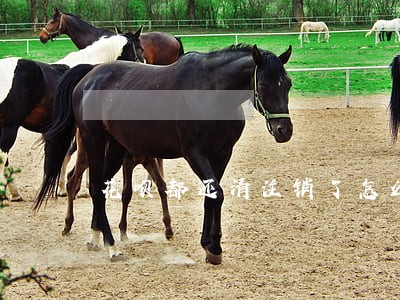 花呗都还清注销了怎么还会有逾期 花呗都还清注销了怎么还会有逾期