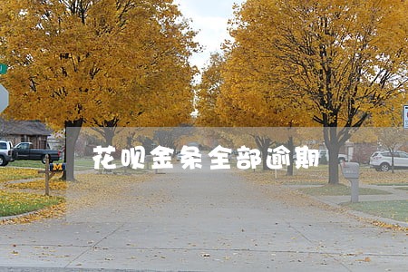 花呗金条全部逾期 花呗金条全部逾期