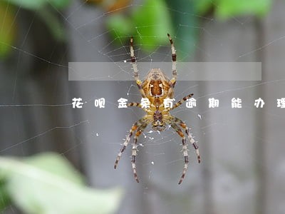 花呗金条有逾期能办理分期手机吗 花呗金条有逾期能办理分期手机吗