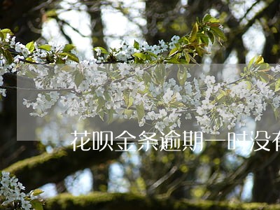 花呗金条逾期一时没有钱还怎么办 花呗金条逾期一时没有钱还怎么办