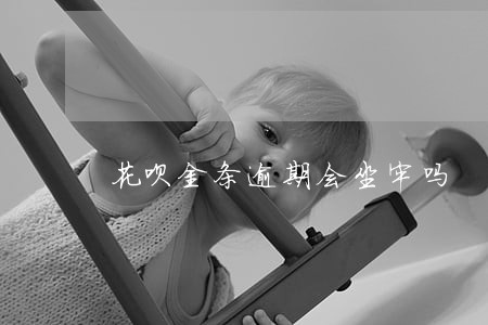 花呗金条逾期会坐牢吗 花呗金条逾期会坐牢吗