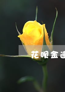 花呗金逾期两天怎么办