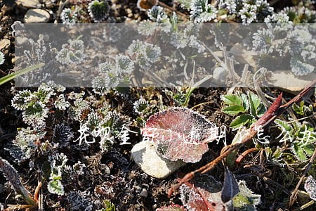花呗金额小逾期了怎么办 花呗金额小逾期了怎么办