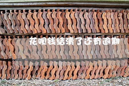 花呗钱结清了还有逾期 花呗钱结清了还有逾期