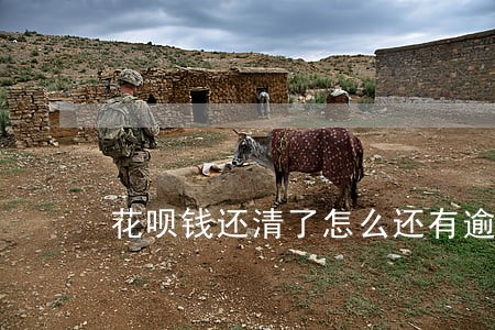 花呗钱还清了怎么还有逾期呢