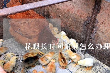 花呗长时间逾期怎么办理分期 花呗长时间逾期怎么办理分期