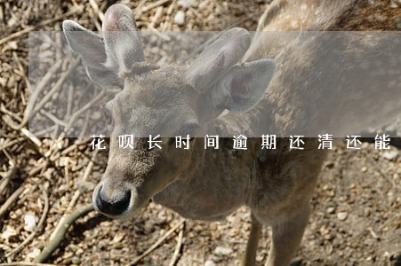 花呗长时间逾期还清还能用吗 花呗长时间逾期还清还能用吗