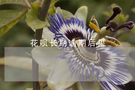花呗长期逾期后果 花呗长期逾期后果