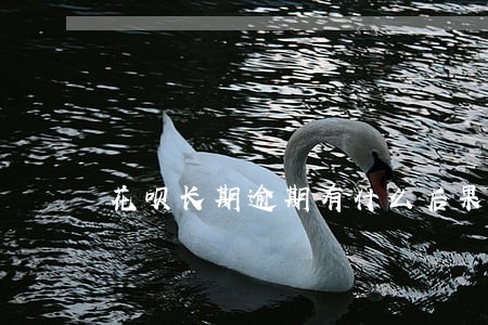 花呗长期逾期有什么后果
