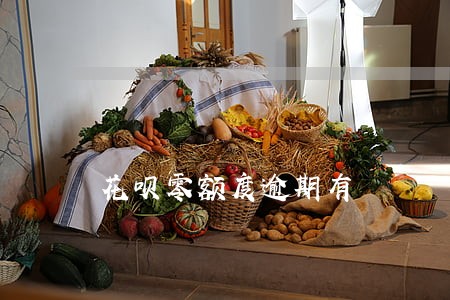花呗零额度逾期有 花呗零额度逾期有