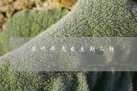 花呗非恶意逾期不能 花呗非恶意逾期不能