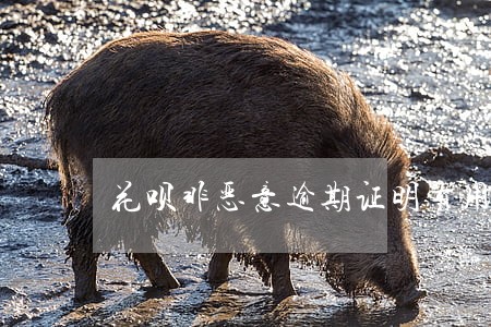 花呗非恶意逾期证明有用 花呗非恶意逾期证明有用