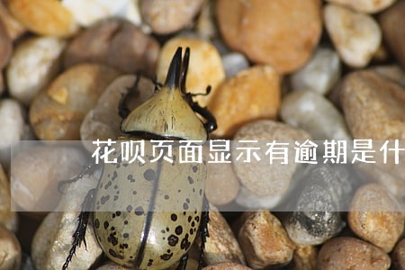 花呗页面显示有逾期是什么意思 花呗页面显示有逾期是什么意思