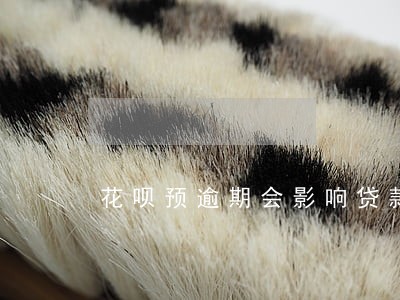 花呗预逾期会影响贷款吗 花呗预逾期会影响贷款吗